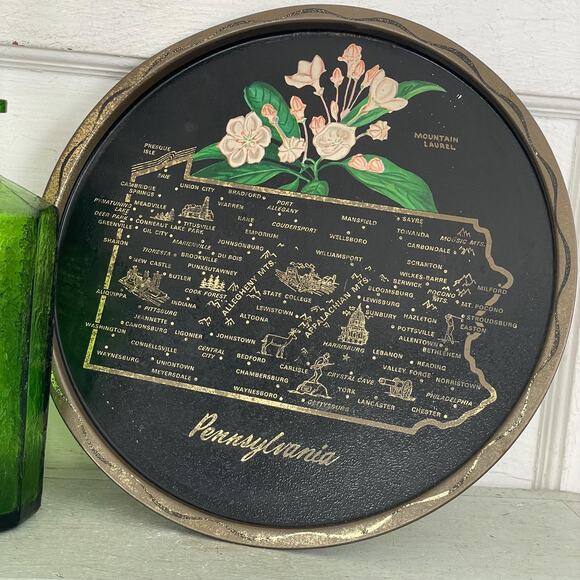 Vintage Round Black Tin Tray State Souvenir Serving Pennsylvania PA Pink Flower - Picture 1 of 7